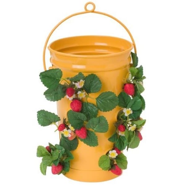 Houston International Trading Houston International Trading 8493E SAFF Enameled Galvanized Strawberry & Flower Planter; Saffron 8493E SAFF - main